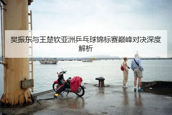 樊振东与王楚钦亚洲乒乓球锦标赛巅峰对决深度解析